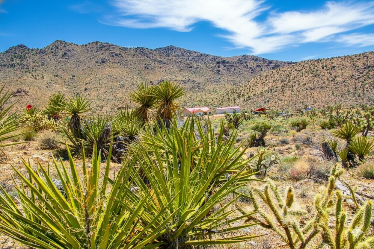 Awe-Inspiring Acres: 1.07 Acre Near Public Lands, at the Foot of the Mountains $125-250/mo in Dolan Springs!