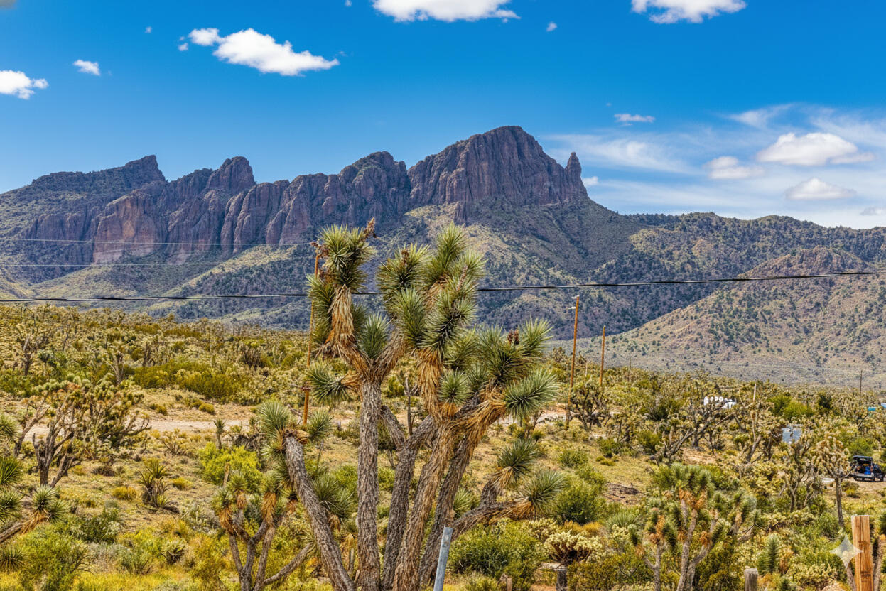 Awe-Inspiring Acres: 1.07 Acre Near Public Lands, at the Foot of the Mountains $125-250/mo in Dolan Springs!