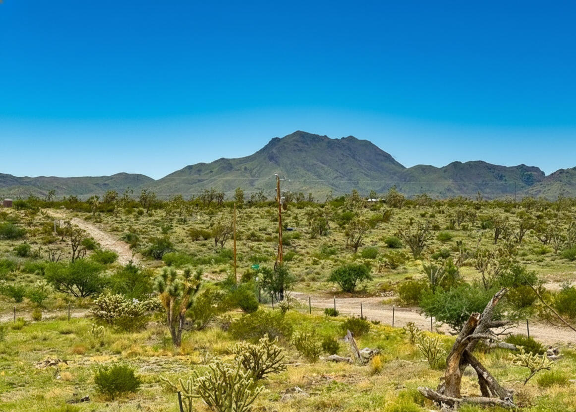 Awe-Inspiring Acres: 1.07 Acre Near Public Lands, at the Foot of the Mountains $125-250/mo in Dolan Springs!