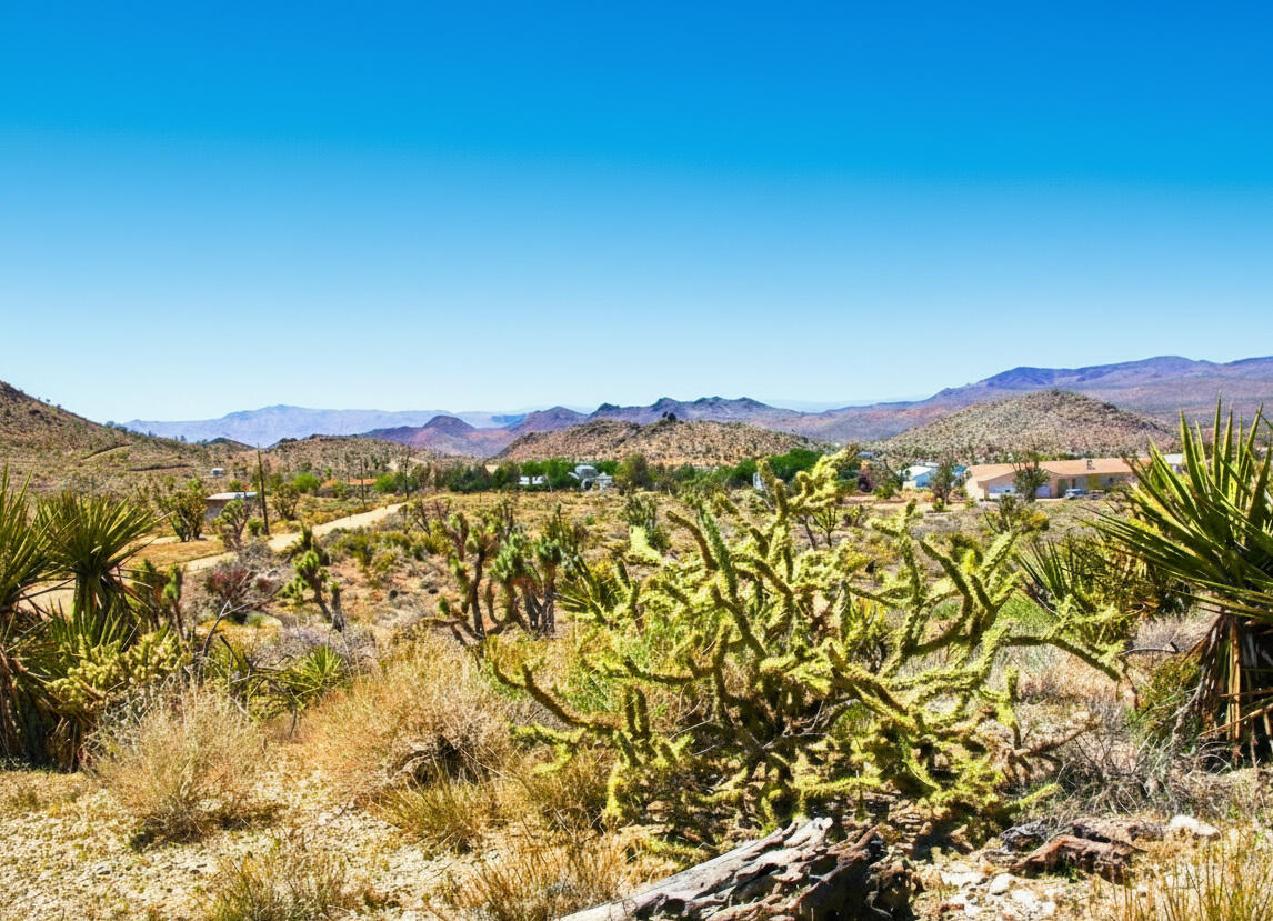 Awe-Inspiring Acres: 1.07 Acre Near Public Lands, at the Foot of the Mountains $125-250/mo in Dolan Springs!