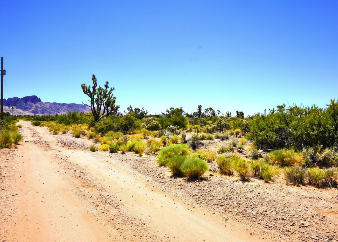 Awe-Inspiring Acres: 1.07 Acre Near Public Lands, at the Foot of the Mountains $125-250/mo in Dolan Springs!