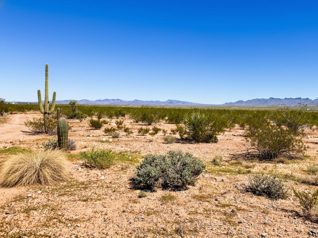 Awe-Inspiring Acres: 1.07 Acre Near Public Lands, at the Foot of the Mountains $125-250/mo in Dolan Springs!