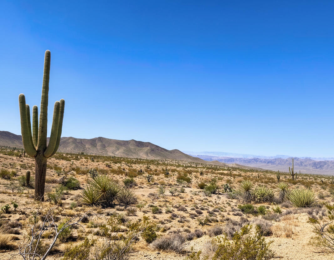 Awe-Inspiring Acres: 1.07 Acre Near Public Lands, at the Foot of the Mountains $125-250/mo in Dolan Springs!